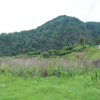 嚴(yán)厲打擊盜采盜挖礦產(chǎn)資源行為！國(guó)務(wù)院安委辦派出工作組明查暗訪