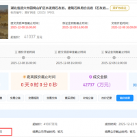 1.5元/噸！亞東水泥競得湖北武穴950萬噸/年砂石大礦